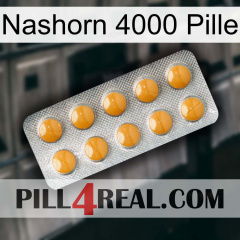 Rhino 4000 Pill levitra1